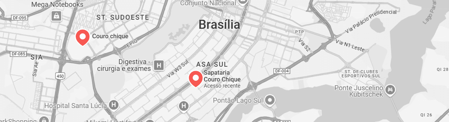 Bolsa de couro elegante